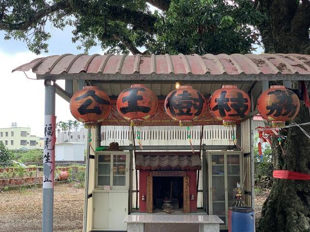 荔枝王的官方照片