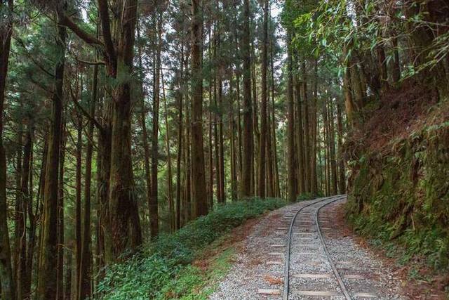 特富野古道的官方照片