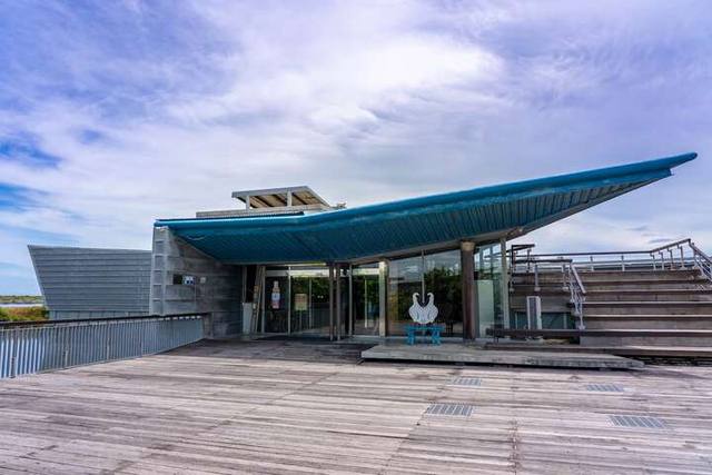 黑面琵鷺生態展示館的官方照片