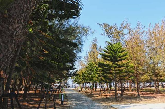新岑公園的官方照片
